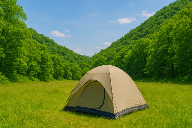 valley-meadow-tent